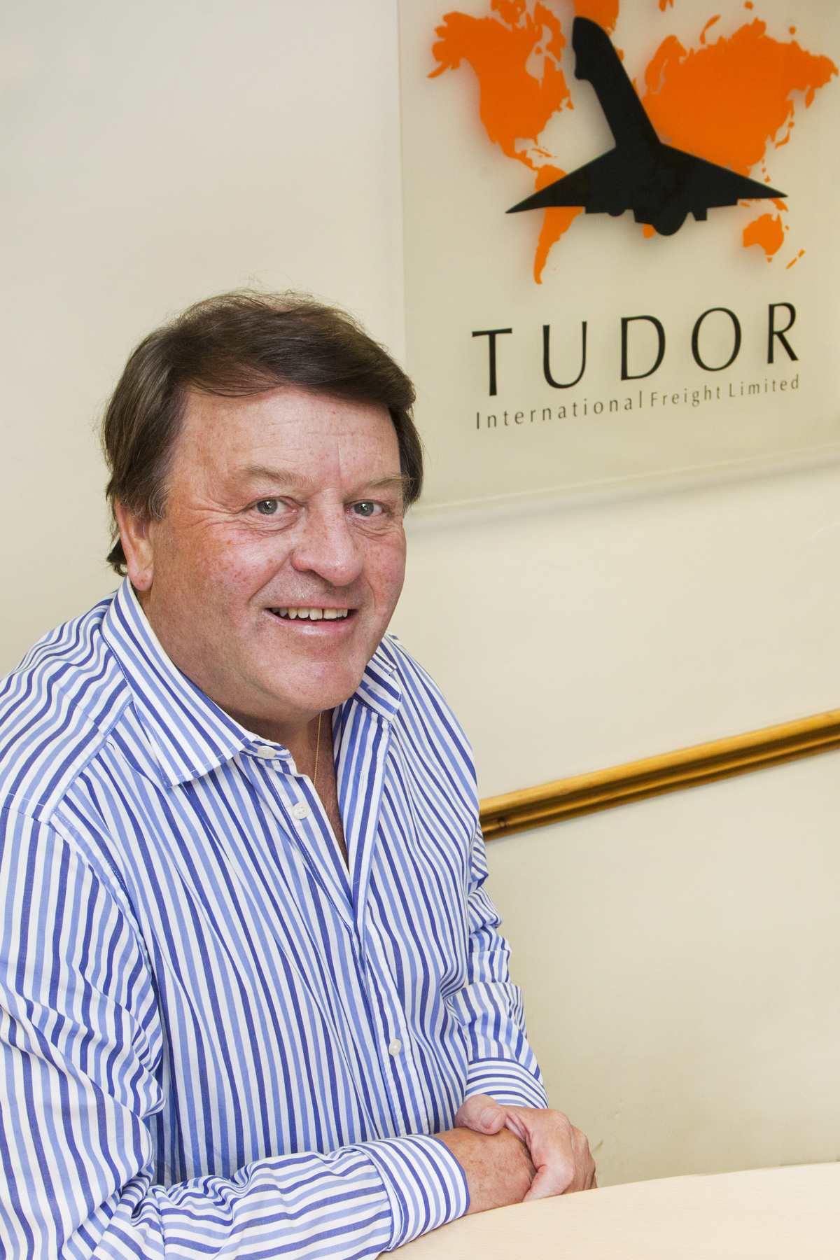 David Johnson, Tudor